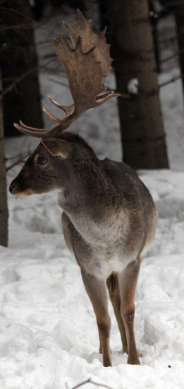 ked sa zlým smerom díva :D
