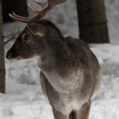 ked sa zlým smerom díva :D