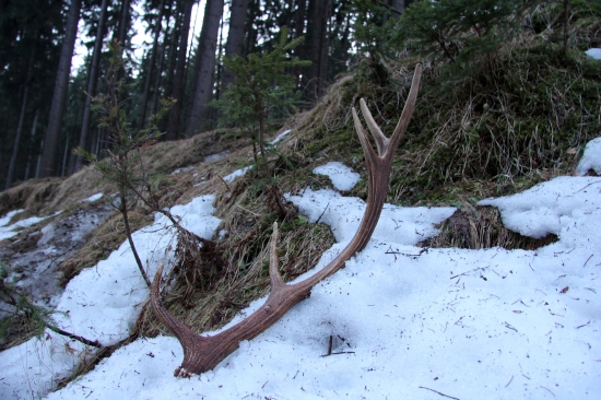 darček... až sa srdéčko zaradovalo :)