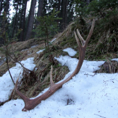 darček... až sa srdéčko zaradovalo :)