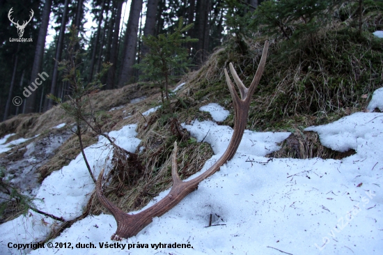 darček... až sa srdéčko zaradovalo :)
