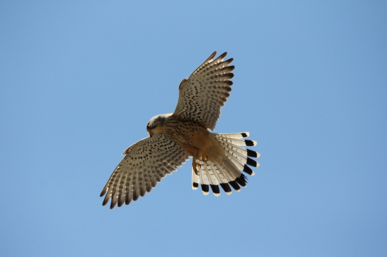 Krása z dola :)) no krajsie je byť hore...