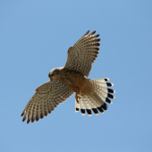 Krása z dola :)) no krajsie je byť hore...