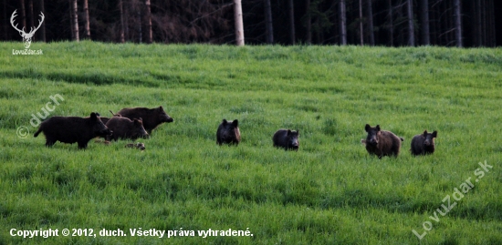 Keď sa splní sen !!!