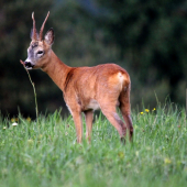 Ďalší výradový :)