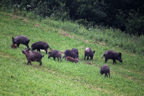 Keď je všade čierno :D