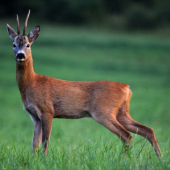 takéto 6+ ma vždy potešia :)