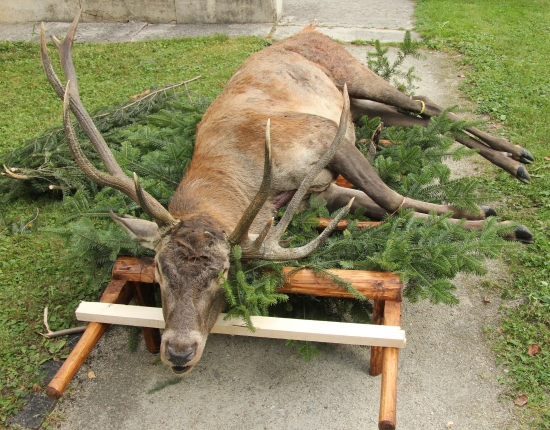 O takom sníva každý :)