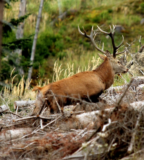 Keď sa šlape hore kopcom