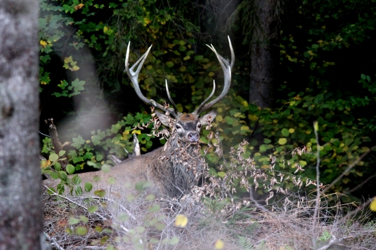 ukrytý pred zrakom druhých :)