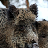 kamarátka sa rada fotí :)