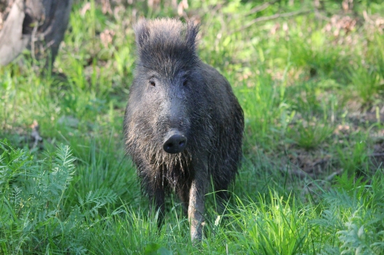 Pózovačka za rána:)