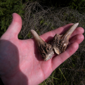 september v lese no neveril som :))) take male...