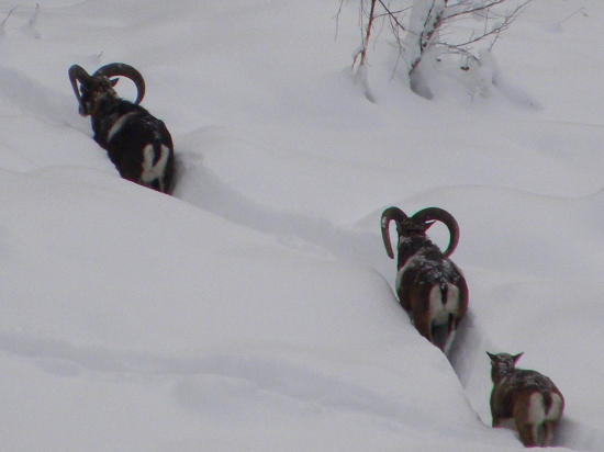 a teraz kto koho fotí :D:D