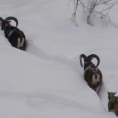 a teraz kto koho fotí :D:D