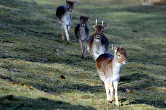 Prišli sme z rozprávky :))))))