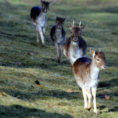 Prišli sme z rozprávky :))))))