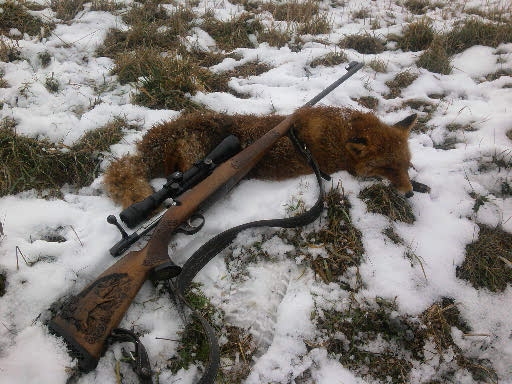 Štefánska líštička