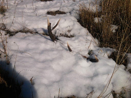 kamarátov prvý pohĺad