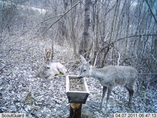Jarná pohoda pri solisku