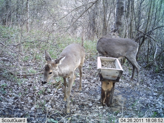 ... a ked ho bude treba urcite ho nebude ...