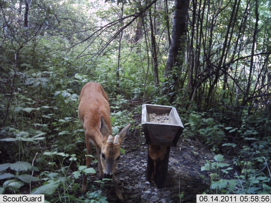 Čo z neho bude ... ?