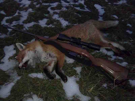 Ďalšia na vábenie