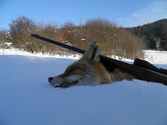 ... ďalšia lištička