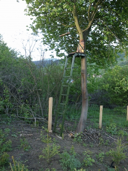 ... a môžme ist na to!