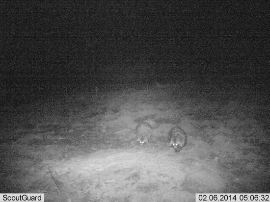 ... a mame to tu, toto som necakal...