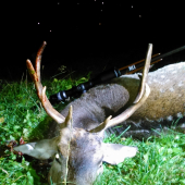 ... ešte jeden detail