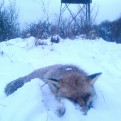 ...ako by Ferko povedal: 