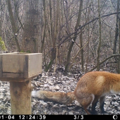 .... ja sa na to....