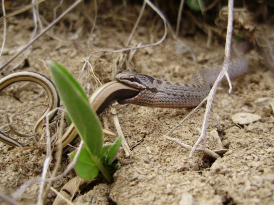 aby iné mohlo žiť