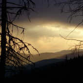 v jeden pekný večer na ruji