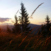 slnečné pohladenie