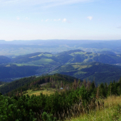 panoráma