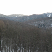 Dolina Večného potoka...