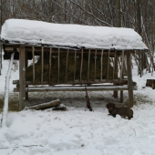 Dneska som uz musel doplnit...