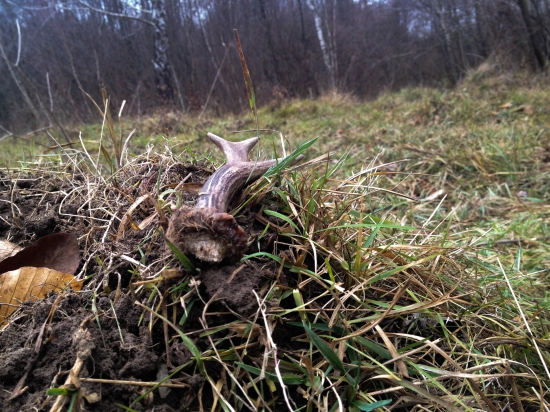 Dnešná neskutočná radosť ktorú mi pripravil tento čerstvý šestorák :)