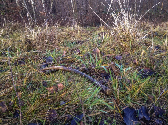 predvianočný špicér (46 cm)