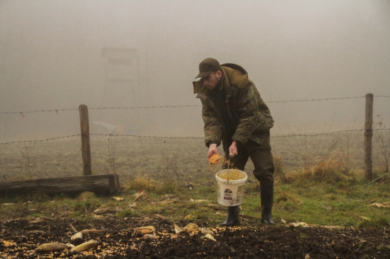 dnešné prikrmovanie .
