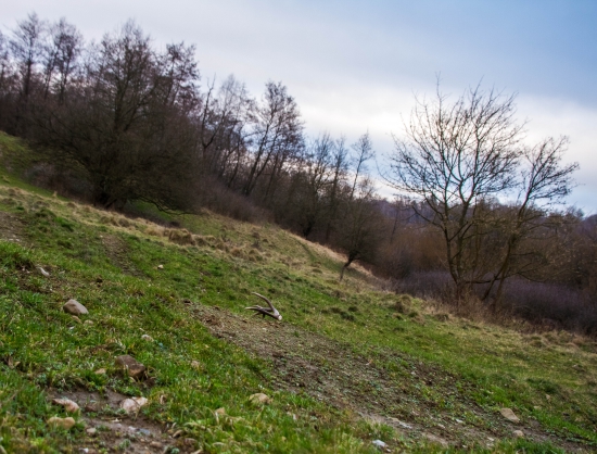 zahrialo pri srdiečku :)