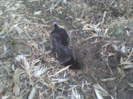 aha nora ...čo v nej  ???