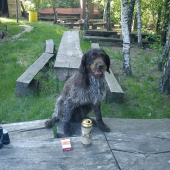 pivo, cigaretka, pohodička