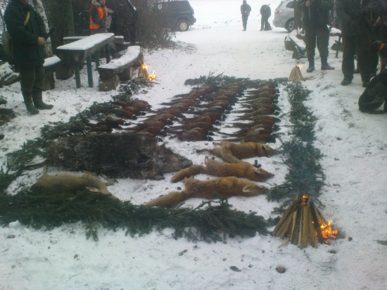 vydarena polovka