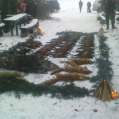 vydarena polovka