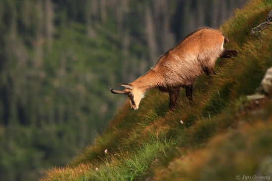 Na nakloněné rovině