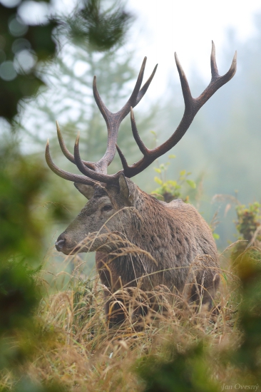 Podzimní vzpomínka