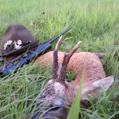 Můj první letošní srnec